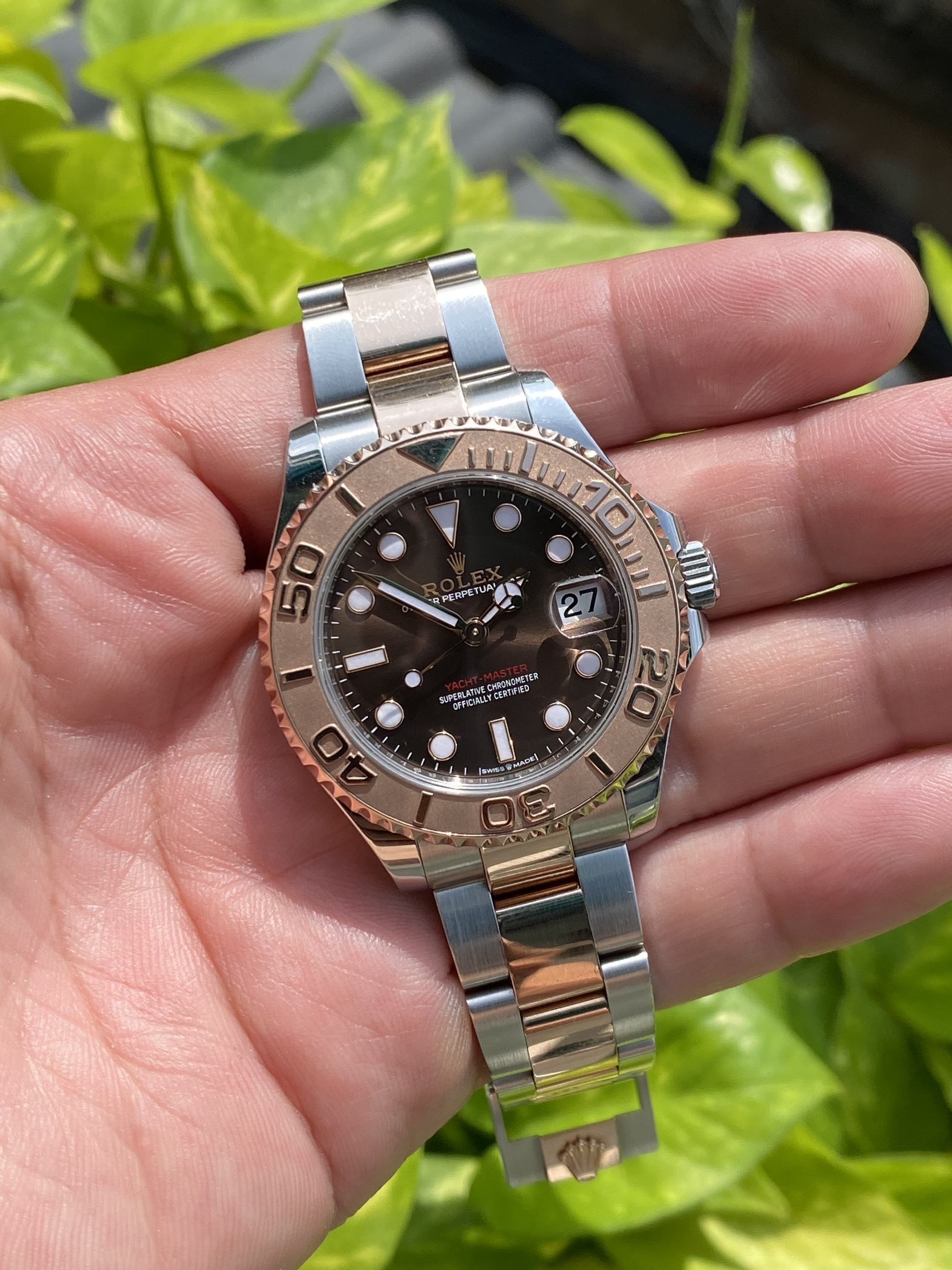 z7269197561790_498f8b03d1b18ed5129973729e7591ba